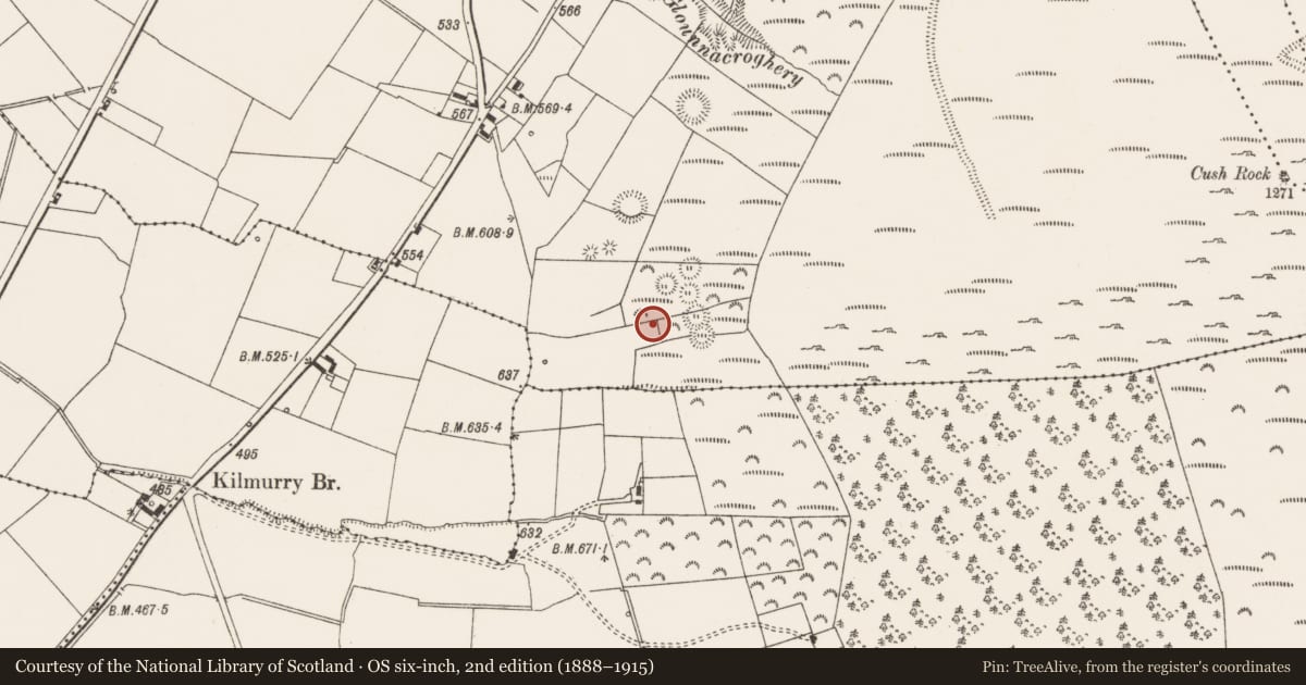 Ordnance Survey six-inch map, 2nd edition (1888–1915) covering the location of House - indeterminate date, Cush, County Limerick, with a pin at the register's coordinates