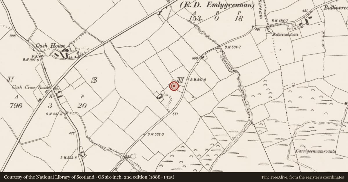 Ordnance Survey six-inch map, 2nd edition (1888–1915) covering the location of Earthwork, Cush, County Limerick, with a pin at the register's coordinates