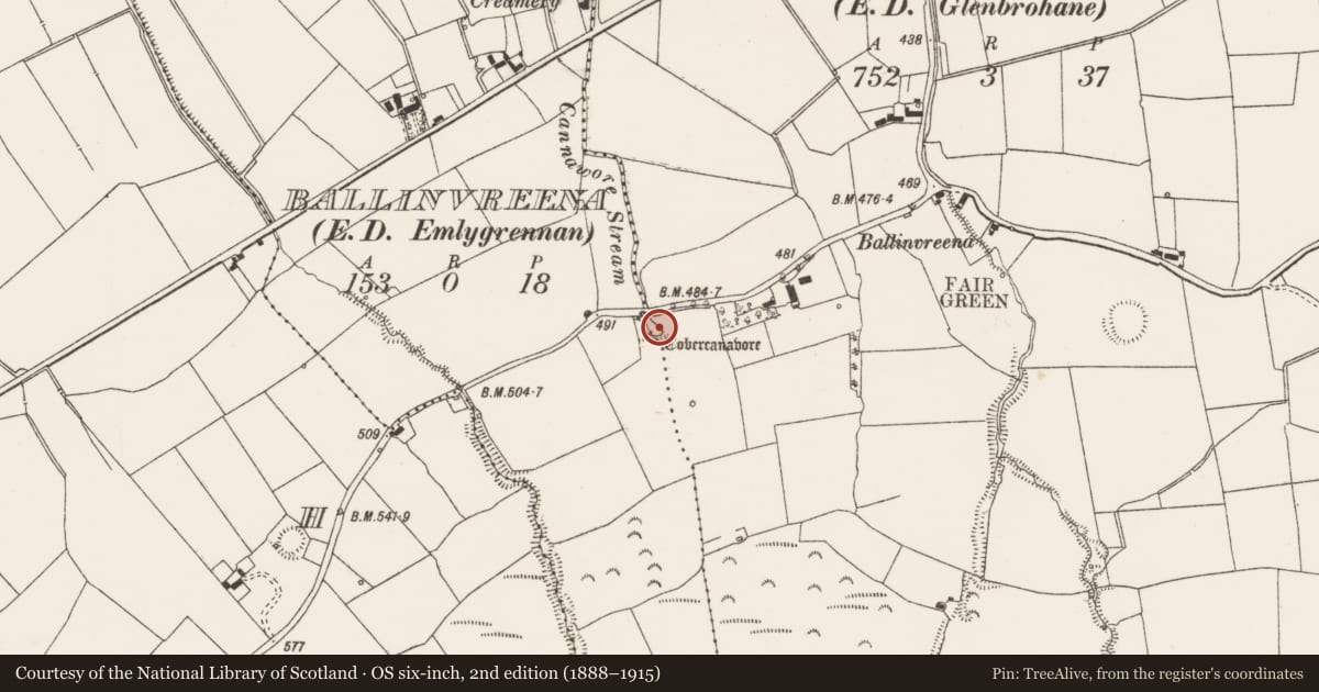 Ordnance Survey six-inch map, 2nd edition (1888–1915) covering the location of Ritual site - holy well, Ballinvreena, County Limerick, with a pin at the register's coordinates