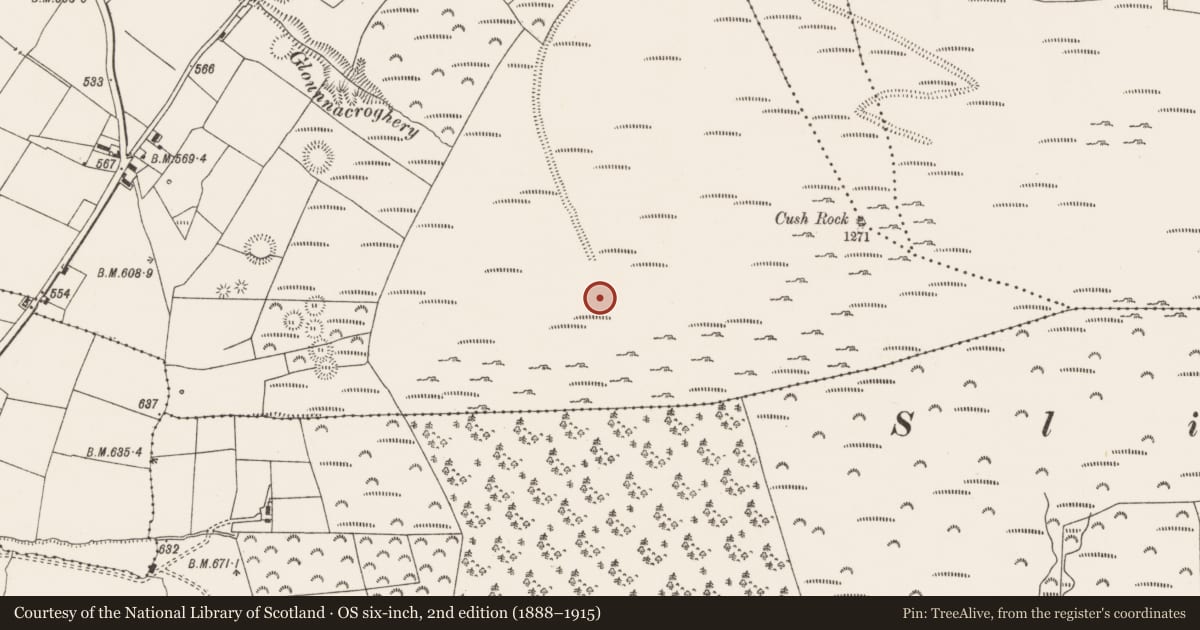 Ordnance Survey six-inch map, 2nd edition (1888–1915) covering the location of Standing stone - pair, Cush, County Limerick, with a pin at the register's coordinates