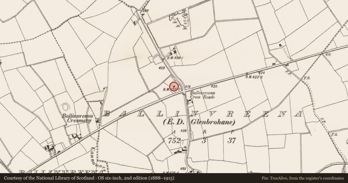 Ordnance Survey six-inch map, 2nd edition (1888–1915) covering the location of Moated site, Ballinvreena, County Limerick, with a pin at the register's coordinates
