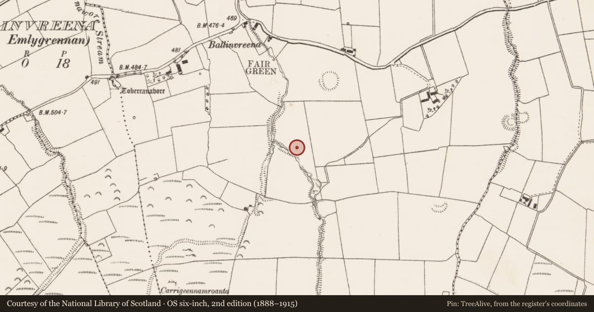 Ordnance Survey six-inch map, 2nd edition (1888–1915) covering the location of Standing stone, Ballinvreena, County Limerick, with a pin at the register's coordinates