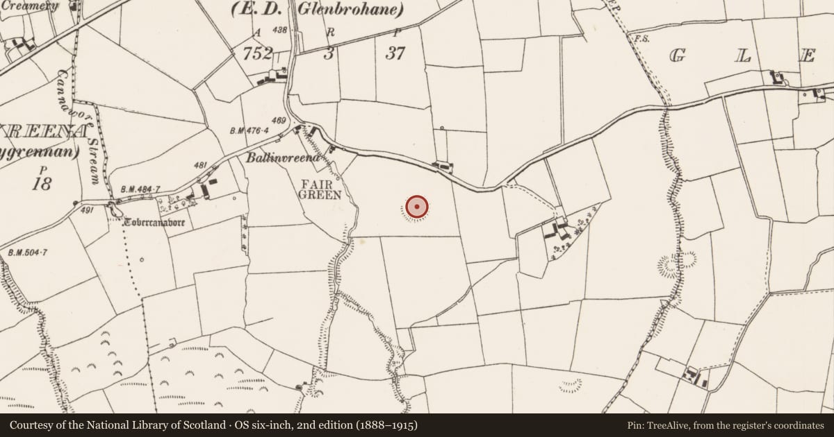Ordnance Survey six-inch map, 2nd edition (1888–1915) covering the location of Ringfort - rath, Ballinvreena, County Limerick, with a pin at the register's coordinates