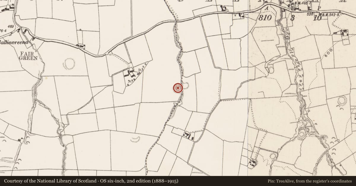 Ordnance Survey six-inch map, 2nd edition (1888–1915) covering the location of Cliff-edge fort, Ballinvreena, County Limerick, with a pin at the register's coordinates