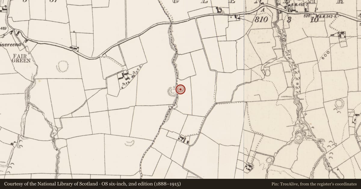 Ordnance Survey six-inch map, 2nd edition (1888–1915) covering the location of Earthwork, Glenlary, County Limerick, with a pin at the register's coordinates
