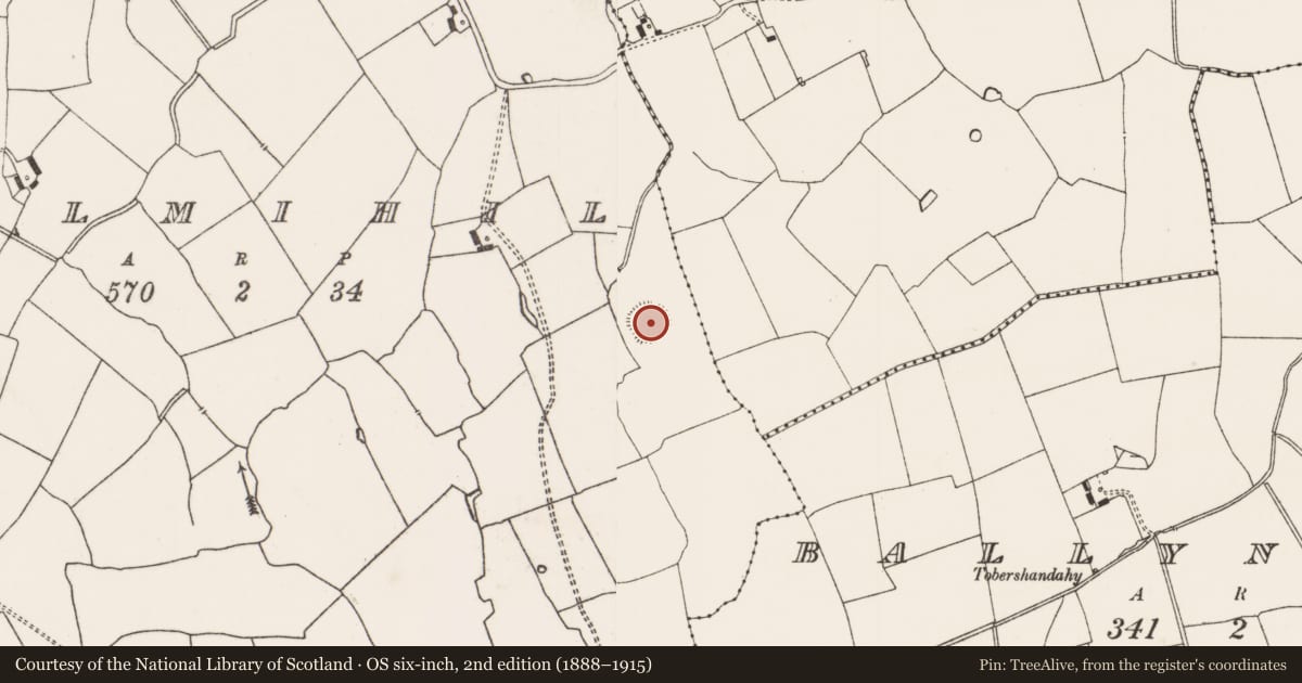 Ordnance Survey six-inch map, 2nd edition (1888–1915) covering the location of Ringfort - rath, Kilmihil, County Limerick, with a pin at the register's coordinates