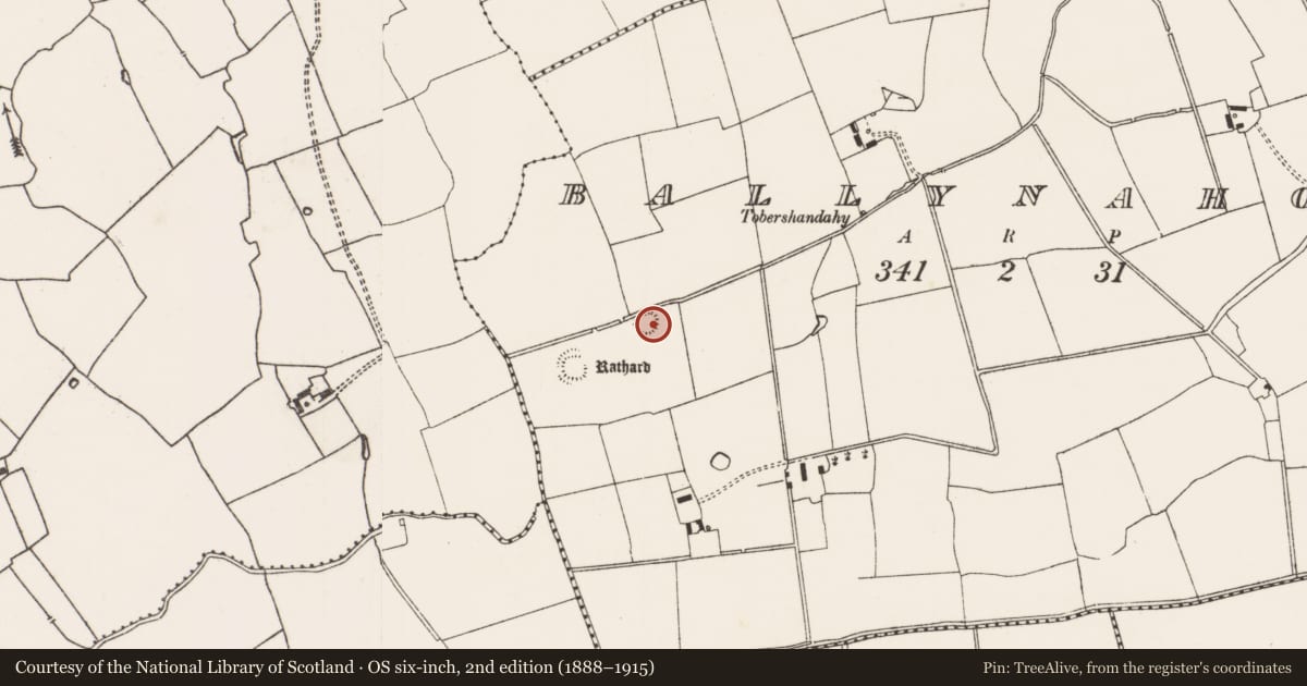 Ordnance Survey six-inch map, 2nd edition (1888–1915) covering the location of Earthwork, Ballynahown, County Limerick, with a pin at the register's coordinates