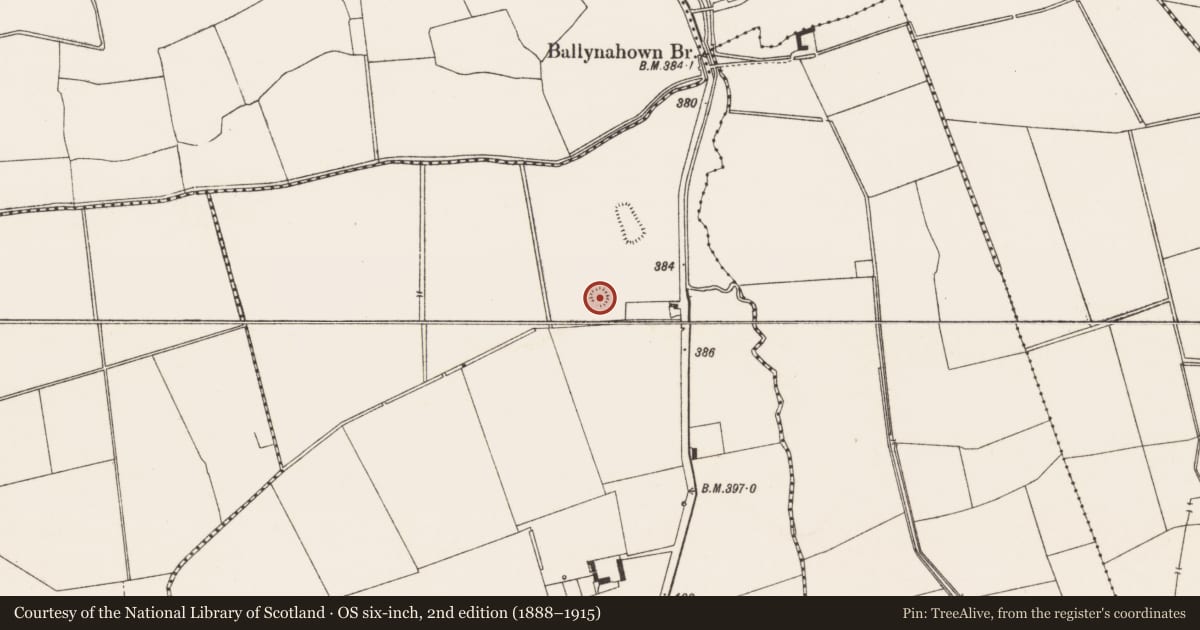 Ordnance Survey six-inch map, 2nd edition (1888–1915) covering the location of Earthwork, Baunmore, County Limerick, with a pin at the register's coordinates