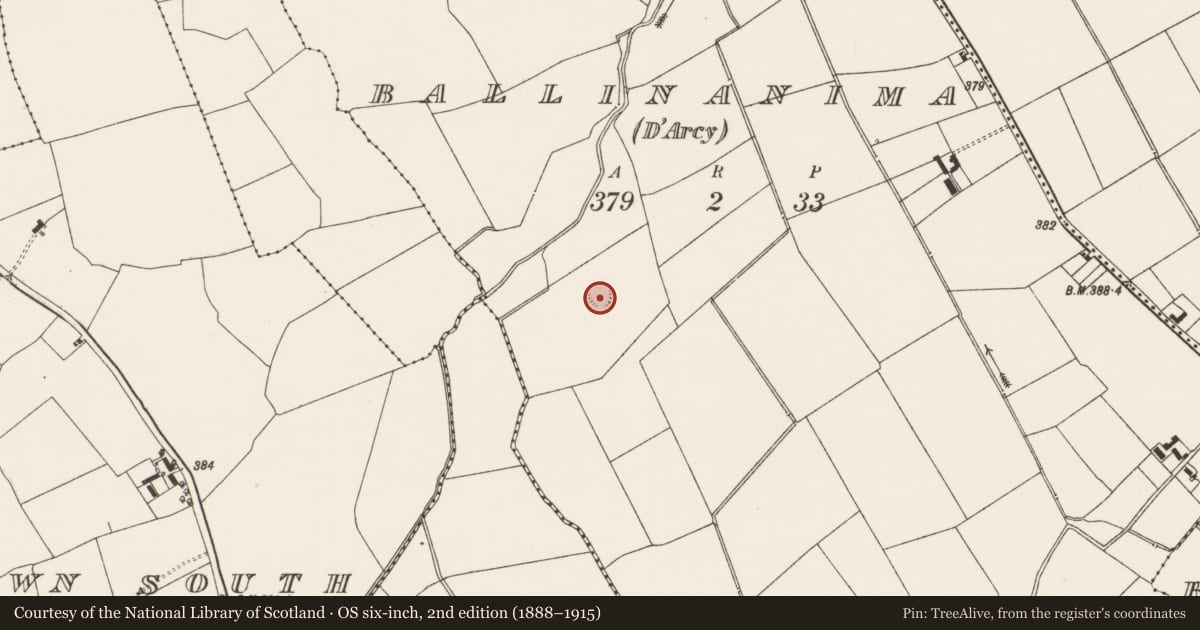 Ordnance Survey six-inch map, 2nd edition (1888–1915) covering the location of Ringfort - rath, Ballinanima (Darcy), County Limerick, with a pin at the register's coordinates