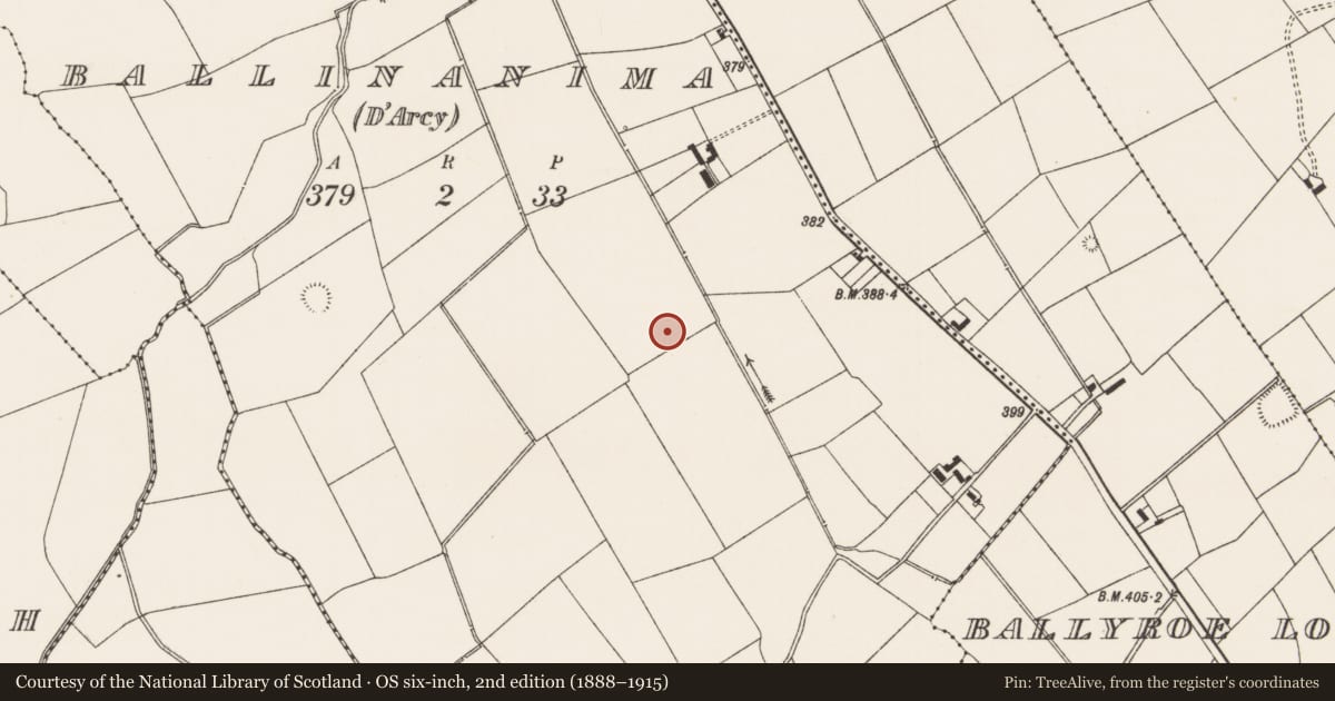 Ordnance Survey six-inch map, 2nd edition (1888–1915) covering the location of Earthwork, Ballinanima (Darcy), County Limerick, with a pin at the register's coordinates