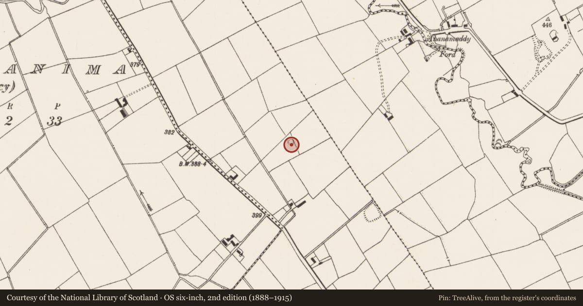Ordnance Survey six-inch map, 2nd edition (1888–1915) covering the location of Earthwork, Ballyroe Lower, County Limerick, with a pin at the register's coordinates