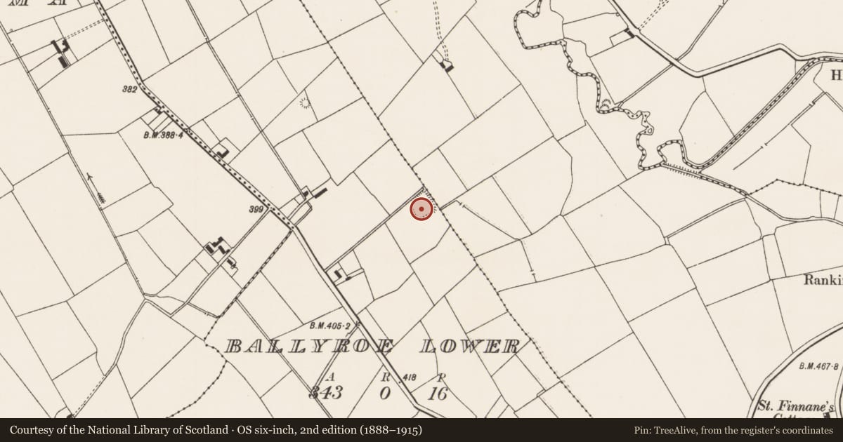 Ordnance Survey six-inch map, 2nd edition (1888–1915) covering the location of Moated site, Ballyroe Lower, County Limerick, with a pin at the register's coordinates