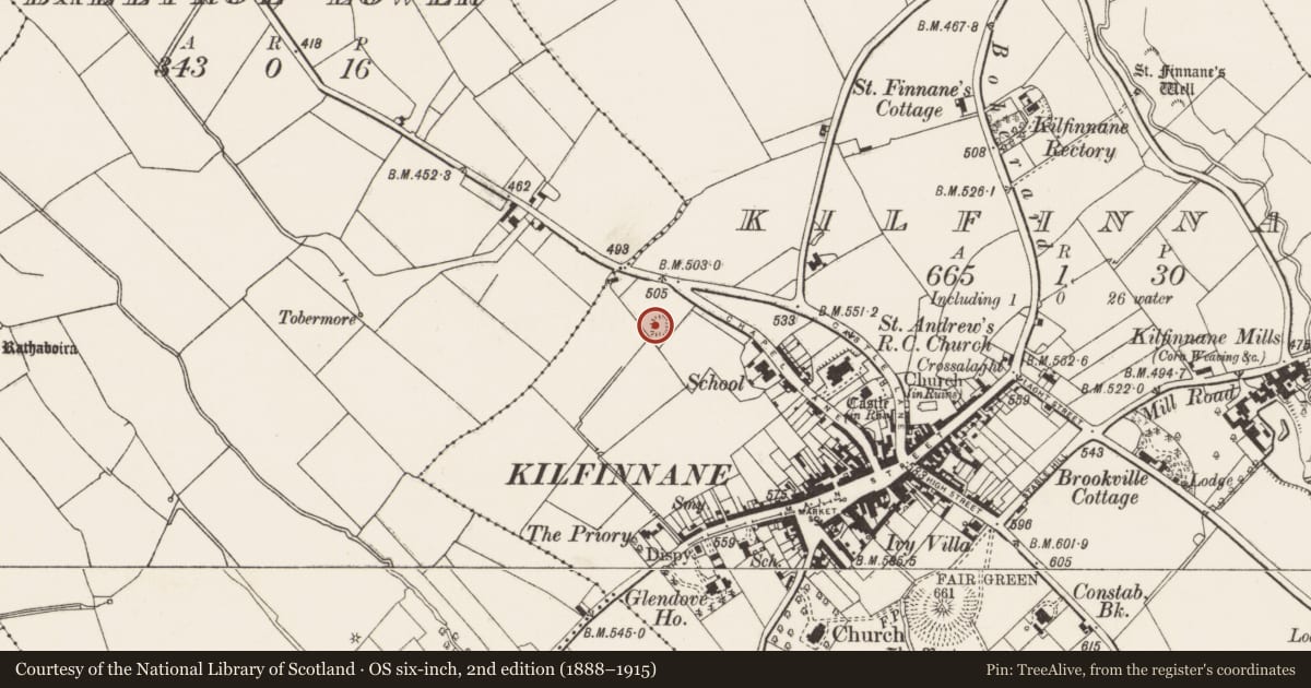 Ordnance Survey six-inch map, 2nd edition (1888–1915) covering the location of Quarry, Kilfinnane, County Limerick, with a pin at the register's coordinates