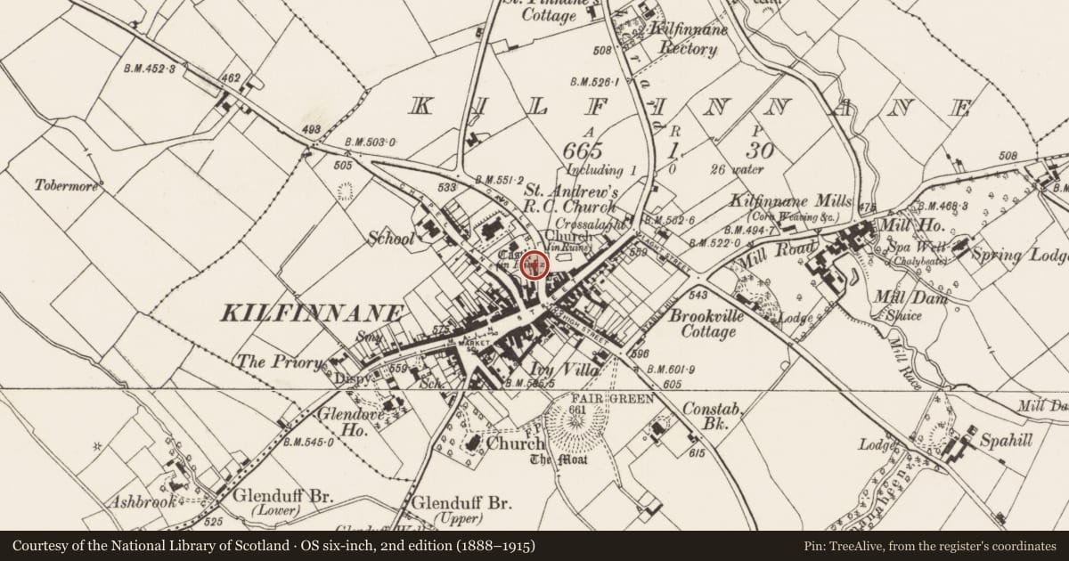 Ordnance Survey six-inch map, 2nd edition (1888–1915) covering the location of Castle - tower house, Kilfinnane, County Limerick, with a pin at the register's coordinates