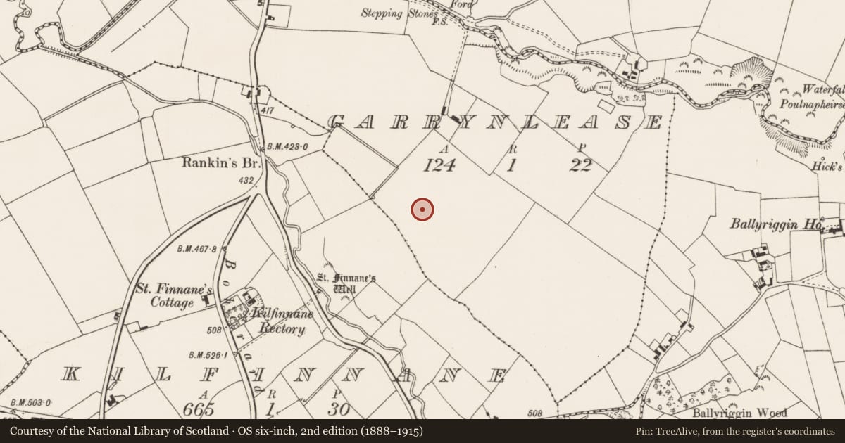 Ordnance Survey six-inch map, 2nd edition (1888–1915) covering the location of Burial mound, Garrynlease, County Limerick, with a pin at the register's coordinates