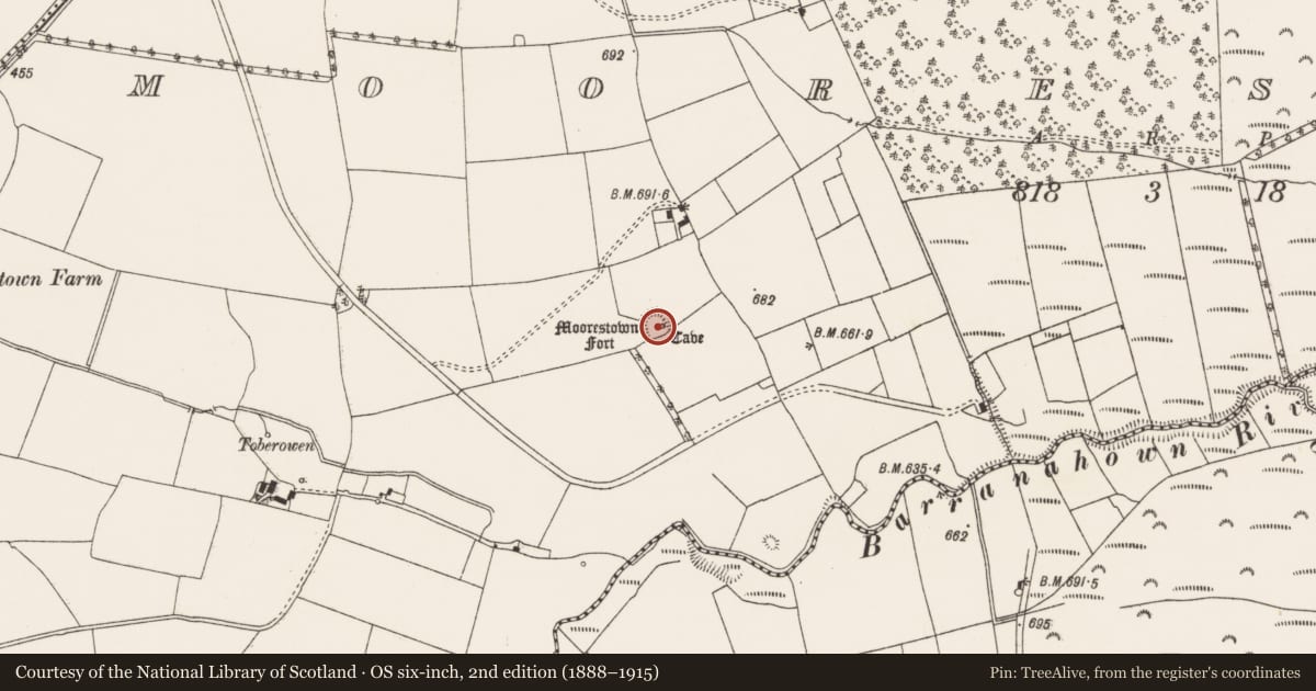 Ordnance Survey six-inch map, 2nd edition (1888–1915) covering the location of Ringfort - rath, Moorestown, County Limerick, with a pin at the register's coordinates