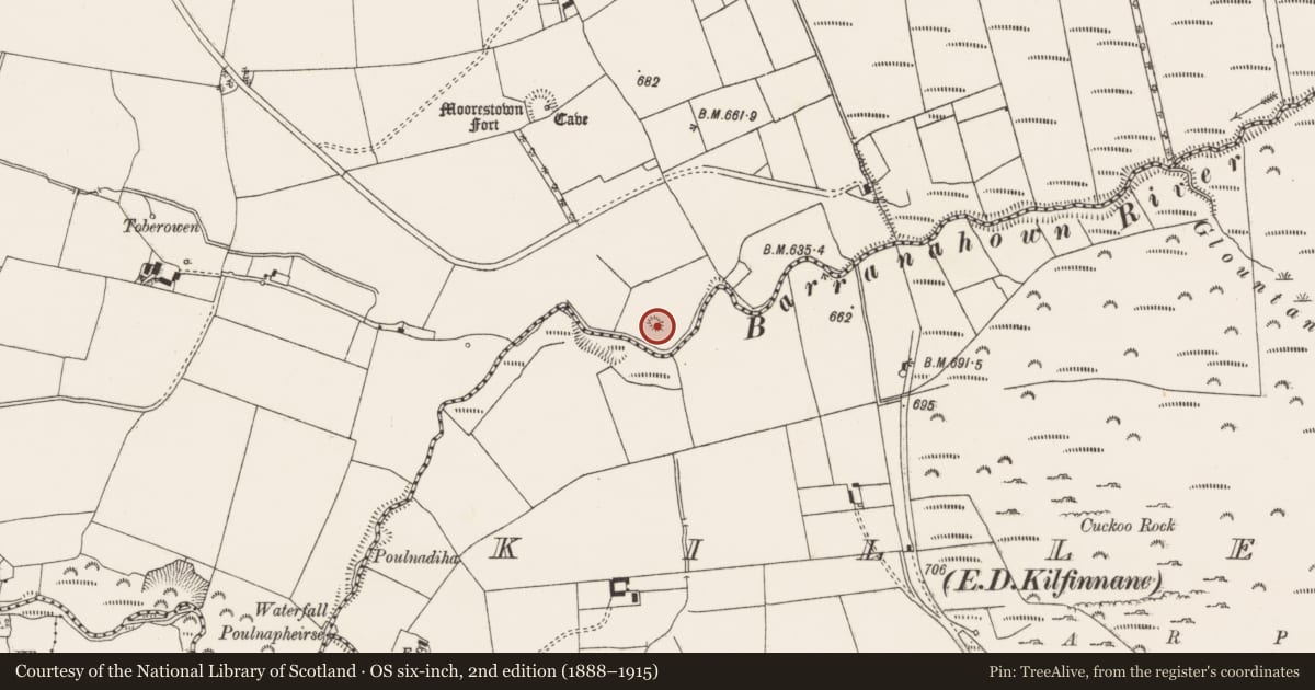 Ordnance Survey six-inch map, 2nd edition (1888–1915) covering the location of Mound, Moorestown, County Limerick, with a pin at the register's coordinates