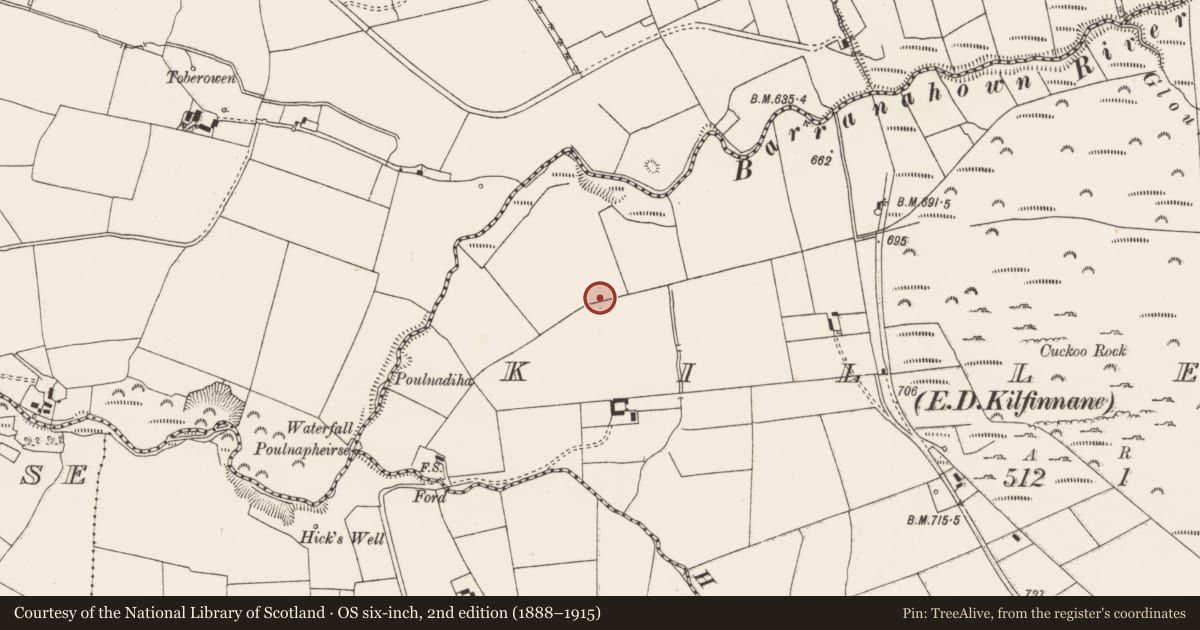 Ordnance Survey six-inch map, 2nd edition (1888–1915) covering the location of Standing stone, Killeen, County Limerick, with a pin at the register's coordinates