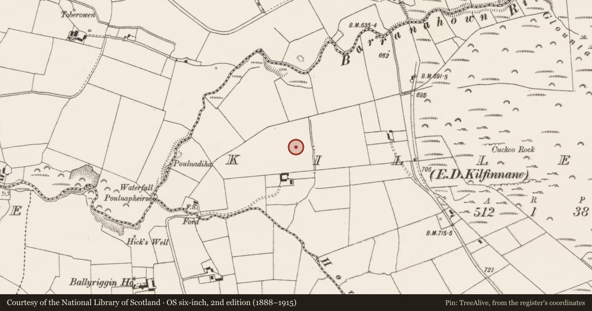 Ordnance Survey six-inch map, 2nd edition (1888–1915) covering the location of Standing stone, Killeen, County Limerick, with a pin at the register's coordinates