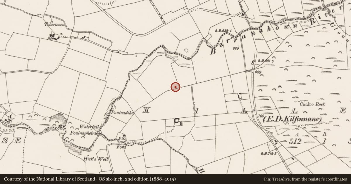 Ordnance Survey six-inch map, 2nd edition (1888–1915) covering the location of Standing stone, Killeen, County Limerick, with a pin at the register's coordinates