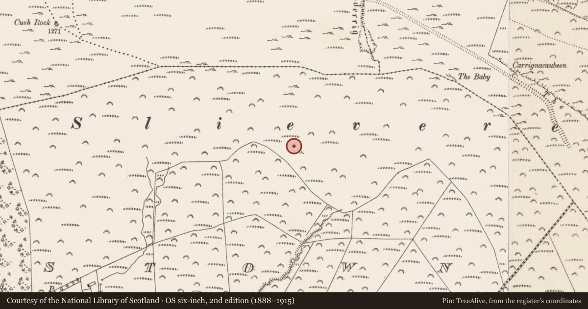 Ordnance Survey six-inch map, 2nd edition (1888–1915) covering the location of Earthwork, Moorestown, County Limerick, with a pin at the register's coordinates