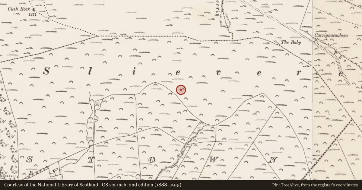 Ordnance Survey six-inch map, 2nd edition (1888–1915) covering the location of Souterrain, Moorestown, County Limerick, with a pin at the register's coordinates