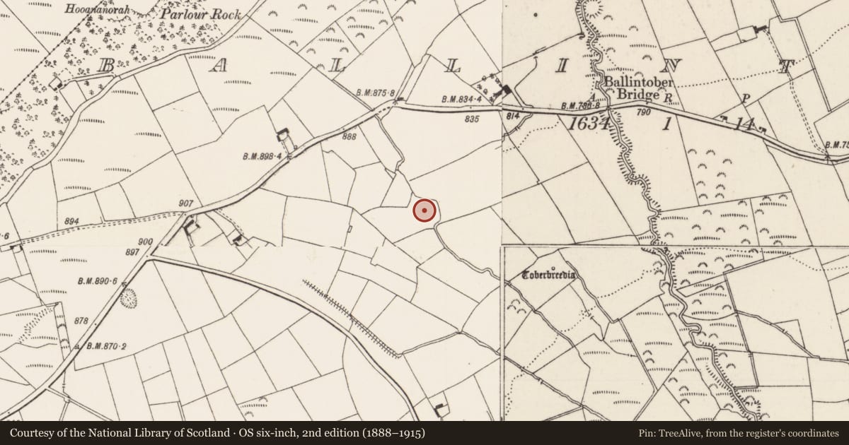 Ordnance Survey six-inch map, 2nd edition (1888–1915) covering the location of Enclosure, Ballintober, County Limerick, with a pin at the register's coordinates