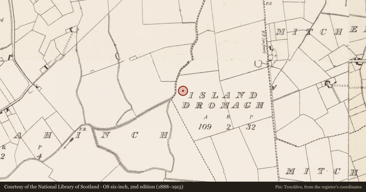 Ordnance Survey six-inch map, 2nd edition (1888–1915) covering the location of Barrow - ditch barrow, Island Dromagh, County Limerick, with a pin at the register's coordinates
