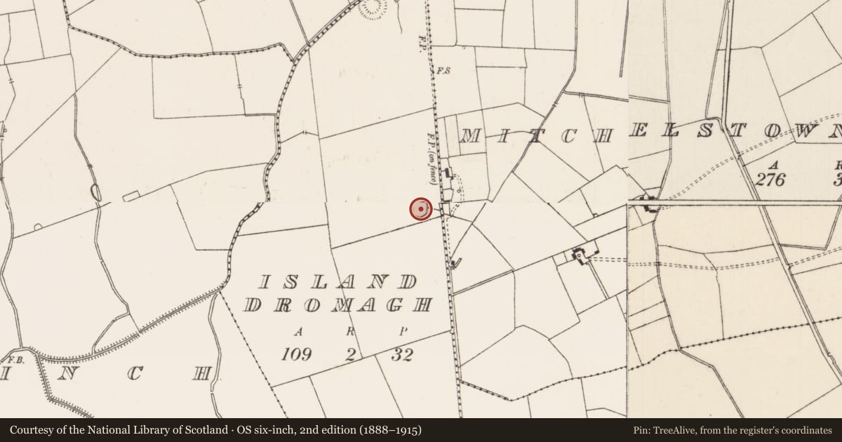 Ordnance Survey six-inch map, 2nd edition (1888–1915) covering the location of Designed landscape - ornamental lake, Island Dromagh, County Limerick, with a pin at the register's coordinates