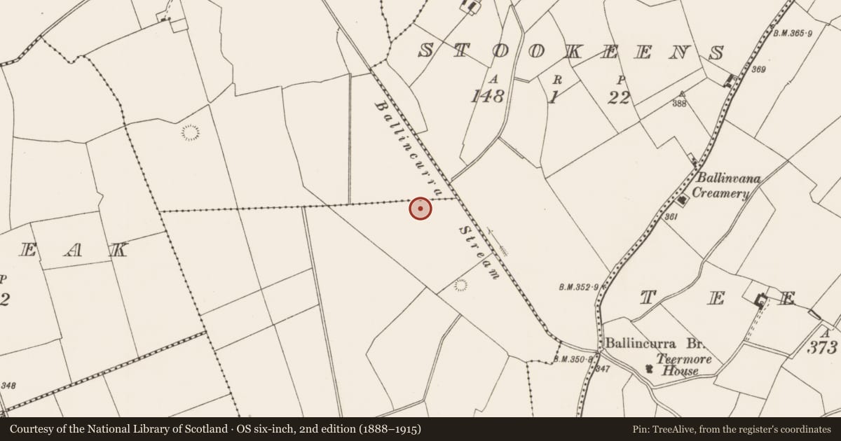 Ordnance Survey six-inch map, 2nd edition (1888–1915) covering the location of Earthwork, Ballincurra, County Limerick, with a pin at the register's coordinates
