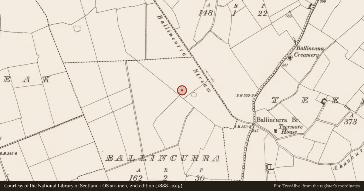 Ordnance Survey six-inch map, 2nd edition (1888–1915) covering the location of Earthwork, Ballincurra, County Limerick, with a pin at the register's coordinates