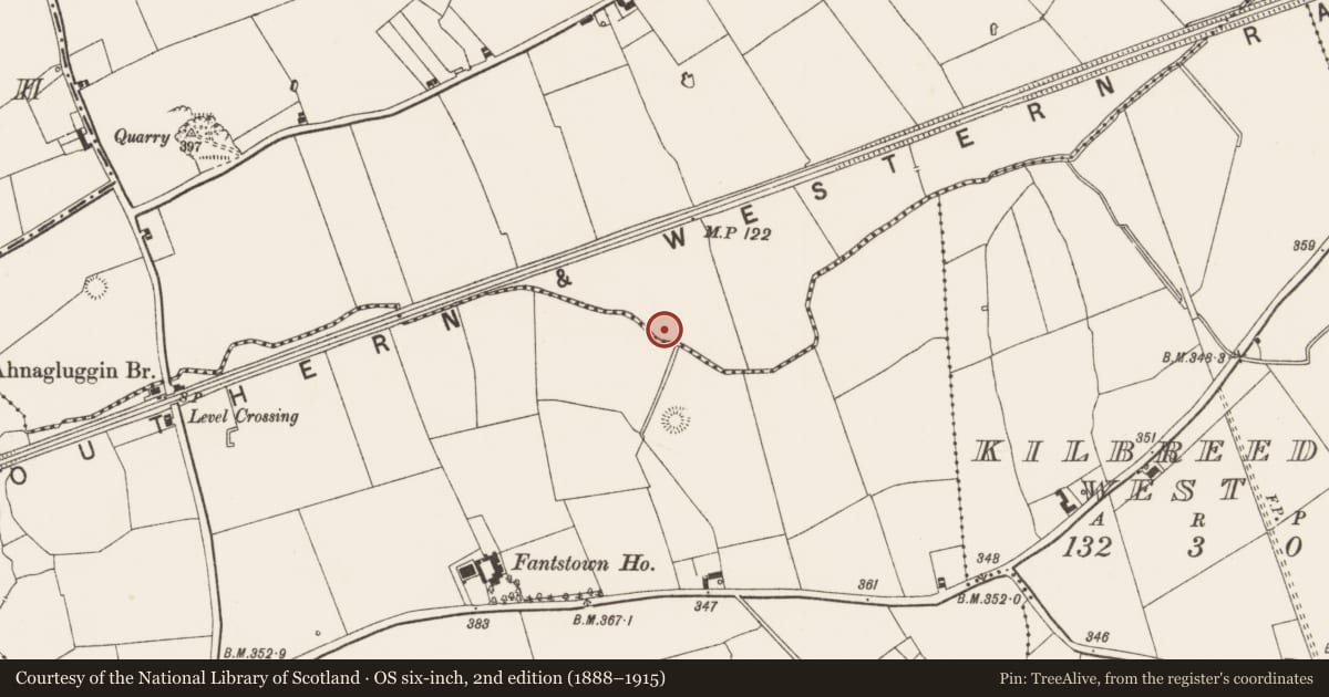 Ordnance Survey six-inch map, 2nd edition (1888–1915) covering the location of Barrow - ditch barrow, Gibbonstown, County Limerick, with a pin at the register's coordinates