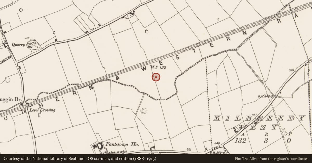 Ordnance Survey six-inch map, 2nd edition (1888–1915) covering the location of Barrow - ditch barrow, Gibbonstown, County Limerick, with a pin at the register's coordinates