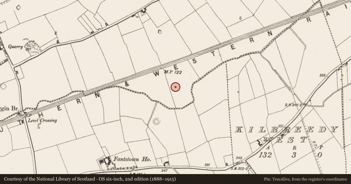 Ordnance Survey six-inch map, 2nd edition (1888–1915) covering the location of Barrow - ditch barrow, Gibbonstown, County Limerick, with a pin at the register's coordinates