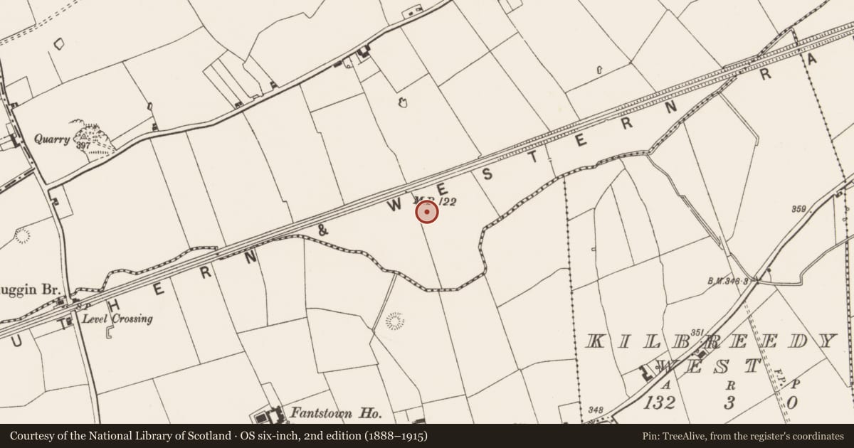 Ordnance Survey six-inch map, 2nd edition (1888–1915) covering the location of Barrow - ditch barrow, Gibbonstown, County Limerick, with a pin at the register's coordinates