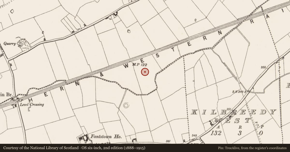 Ordnance Survey six-inch map, 2nd edition (1888–1915) covering the location of Barrow - ditch barrow, Gibbonstown, County Limerick, with a pin at the register's coordinates