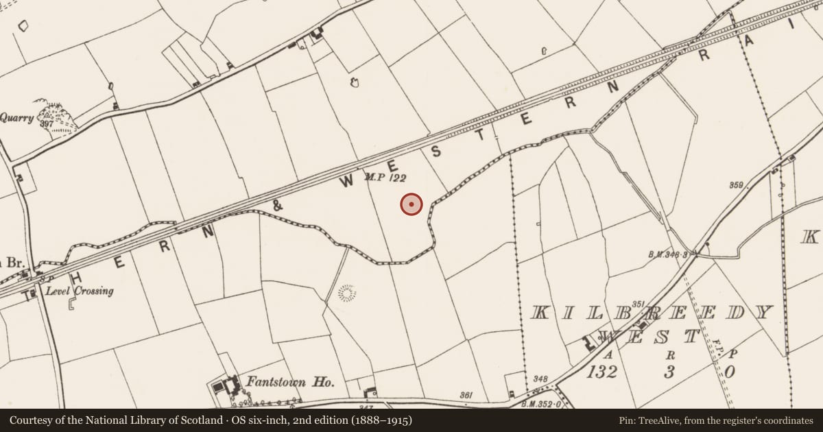 Ordnance Survey six-inch map, 2nd edition (1888–1915) covering the location of Barrow - ditch barrow, Gibbonstown, County Limerick, with a pin at the register's coordinates