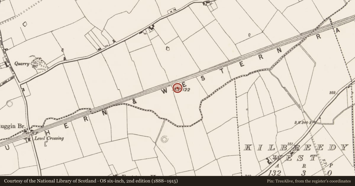 Ordnance Survey six-inch map, 2nd edition (1888–1915) covering the location of Ring-ditch, Gibbonstown, County Limerick, with a pin at the register's coordinates