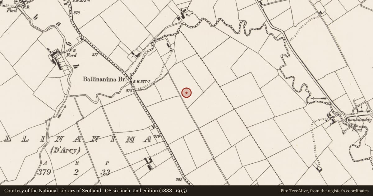 Ordnance Survey six-inch map, 2nd edition (1888–1915) covering the location of Earthwork, Ballyroe Lower, County Limerick, with a pin at the register's coordinates