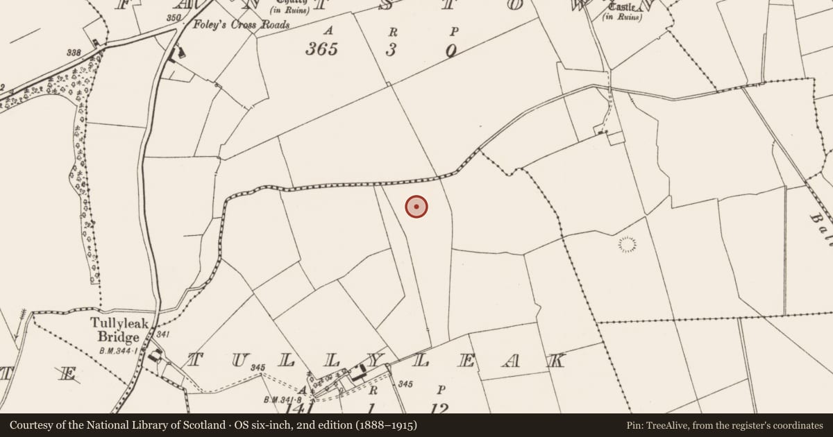 Ordnance Survey six-inch map, 2nd edition (1888–1915) covering the location of Barrow - ditch barrow, Tullyleak, County Limerick, with a pin at the register's coordinates