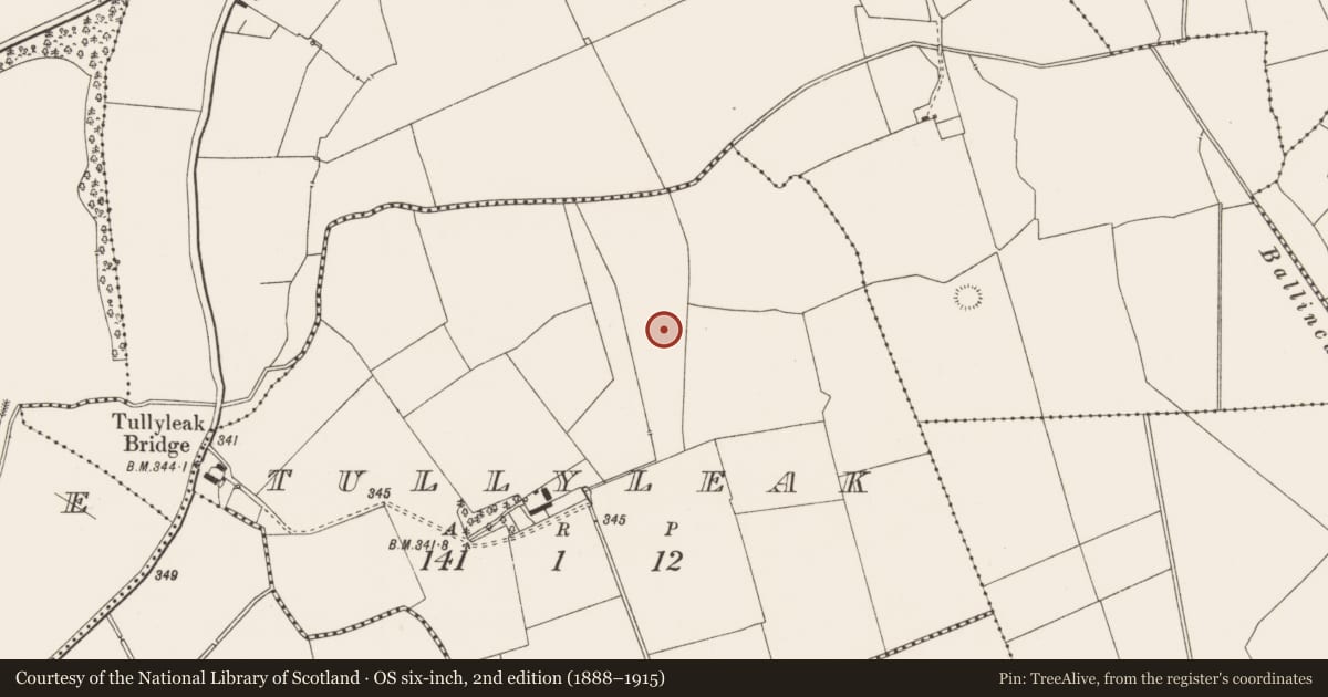 Ordnance Survey six-inch map, 2nd edition (1888–1915) covering the location of Moated site, Tullyleak, County Limerick, with a pin at the register's coordinates