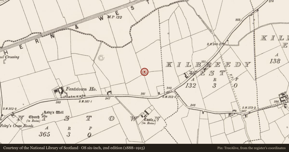 Ordnance Survey six-inch map, 2nd edition (1888–1915) covering the location of Barrow - ditch barrow, Fantstown, County Limerick, with a pin at the register's coordinates