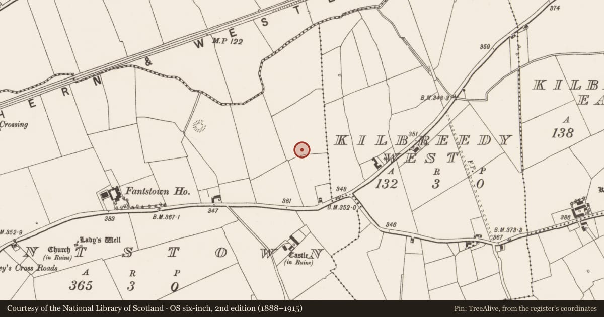 Ordnance Survey six-inch map, 2nd edition (1888–1915) covering the location of Barrow - ditch barrow, Fantstown, County Limerick, with a pin at the register's coordinates