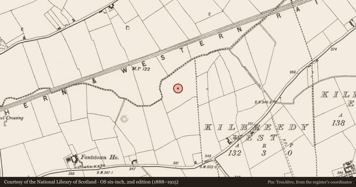 Ordnance Survey six-inch map, 2nd edition (1888–1915) covering the location of Barrow - ditch barrow, Fantstown, County Limerick, with a pin at the register's coordinates