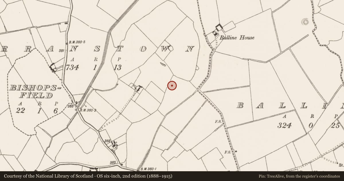 Ordnance Survey six-inch map, 2nd edition (1888–1915) covering the location of Earthwork, Darranstown, County Limerick, with a pin at the register's coordinates