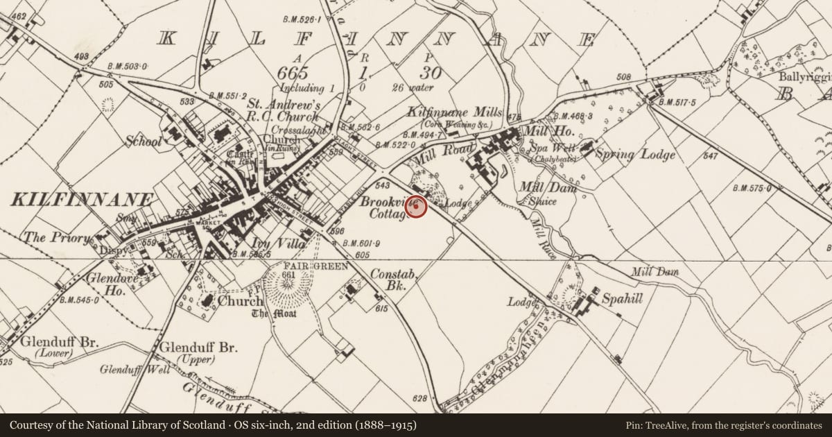 Ordnance Survey six-inch map, 2nd edition (1888–1915) covering the location of Excavation - miscellaneous, Kilfinnane, County Limerick, with a pin at the register's coordinates