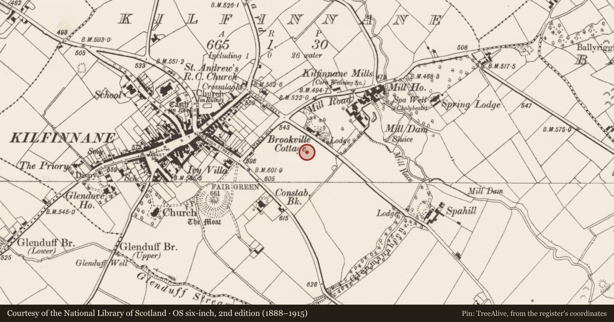 Ordnance Survey six-inch map, 2nd edition (1888–1915) covering the location of Excavation - miscellaneous, Kilfinnane, County Limerick, with a pin at the register's coordinates