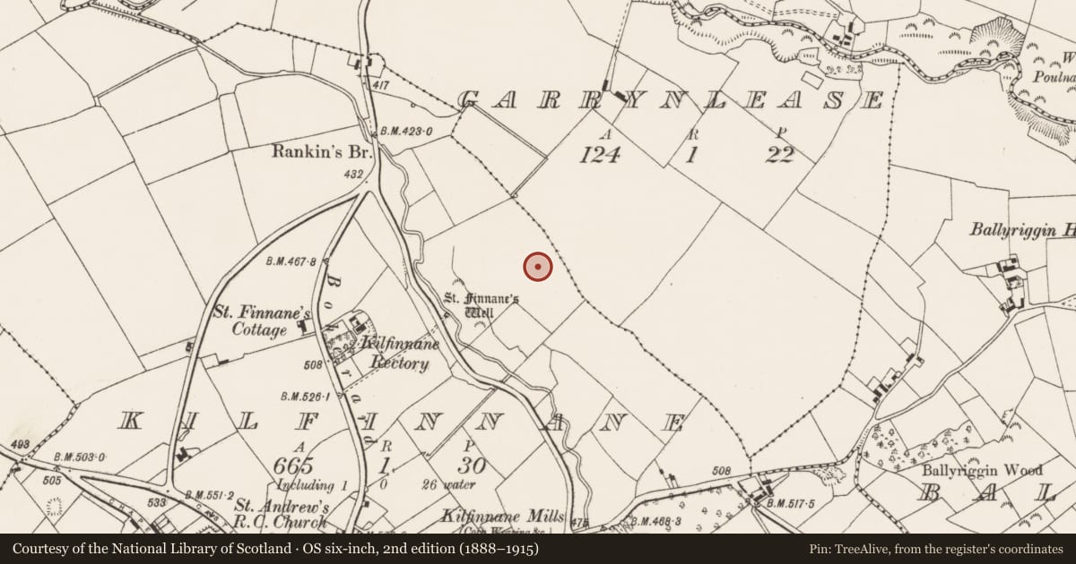Ordnance Survey six-inch map, 2nd edition (1888–1915) covering the location of Barrow - unclassified, Kilfinnane, County Limerick, with a pin at the register's coordinates