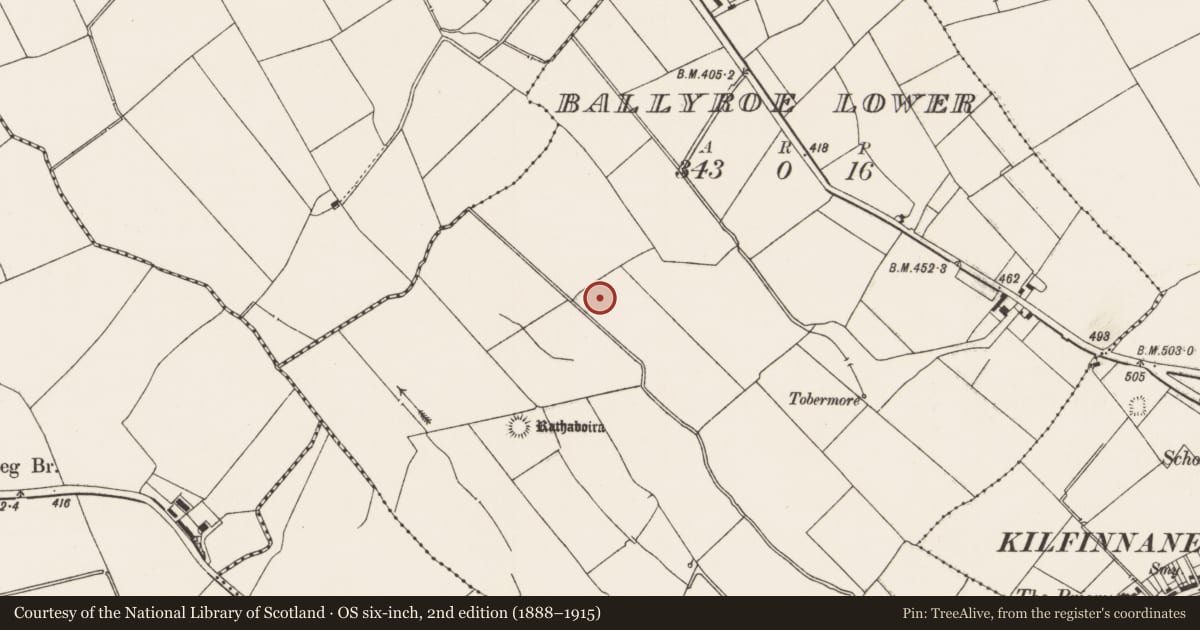 Ordnance Survey six-inch map, 2nd edition (1888–1915) covering the location of Earthwork, Ballyroe Lower, County Limerick, with a pin at the register's coordinates