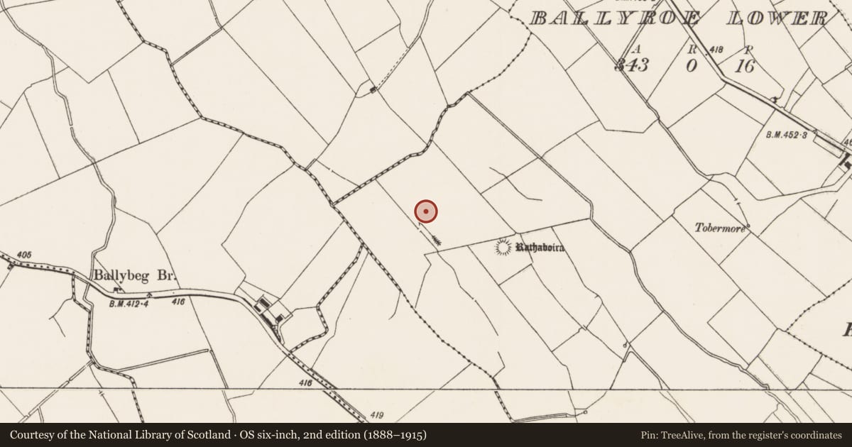 Ordnance Survey six-inch map, 2nd edition (1888–1915) covering the location of Earthwork, Ballyroe Lower, County Limerick, with a pin at the register's coordinates